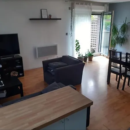 Lejlighed Tres Bel Appart Avec Terrasse A 7 Min De Lille